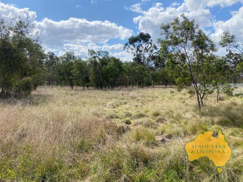 64-66 BURROWS STREET, Wondai For Sale by Farmbuy.com - image 3