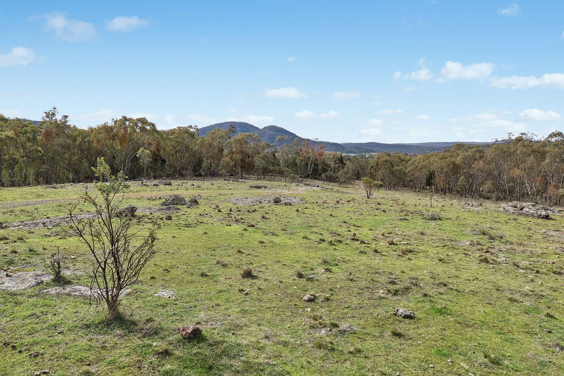 261 Mossy Rock Lane, Mudgee Auction by Farmbuy.com - image 14