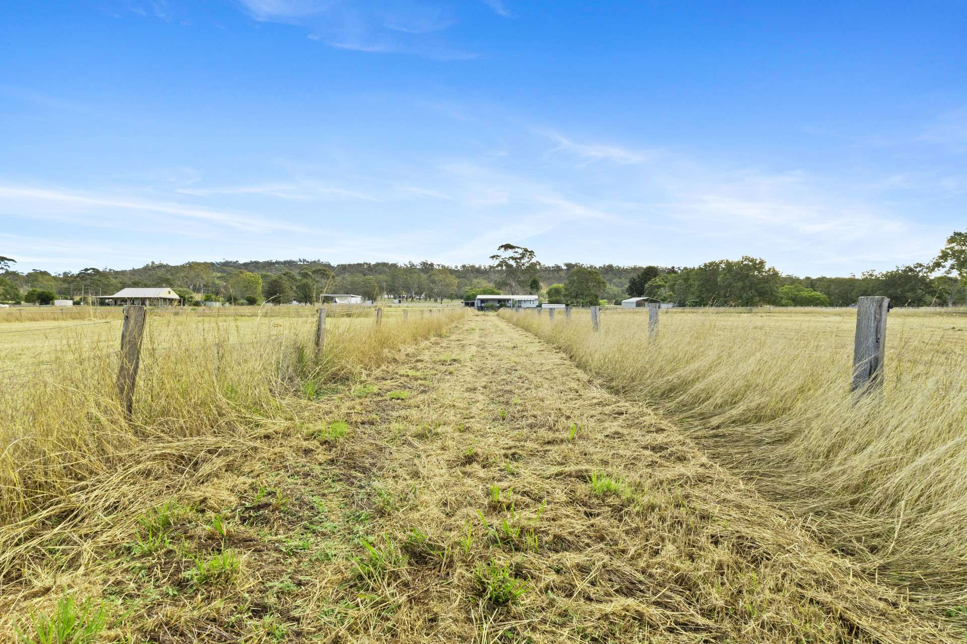 1027 Kerry Road, Kerry For Sale by Farmbuy.com - image 21