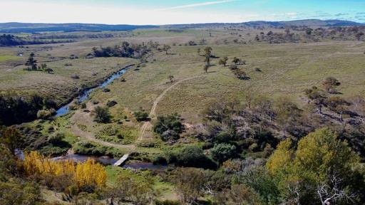 Farm For Sale - NSW - Mila - 2632 - Prime Monaro Grazing and Lifestyle Opportunity 