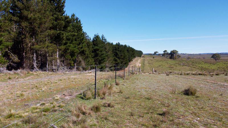 163 Craigie Road, Mila For Sale by Farmbuy.com - image 17