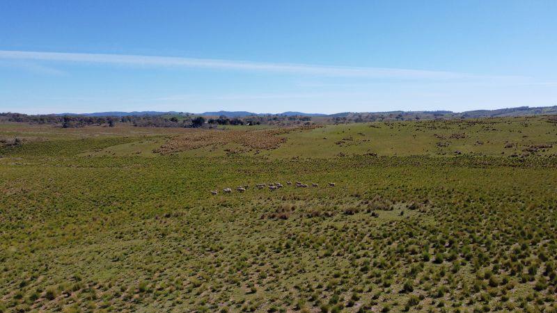163 Craigie Road, Mila For Sale by Farmbuy.com - image 6