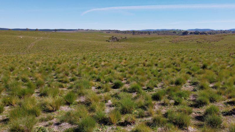 163 Craigie Road, Mila For Sale by Farmbuy.com - image 14