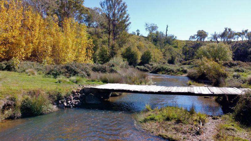 163 Craigie Road, Mila For Sale by Farmbuy.com - image 3