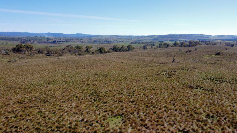 163 Craigie Road, Mila For Sale by Farmbuy.com - image 19