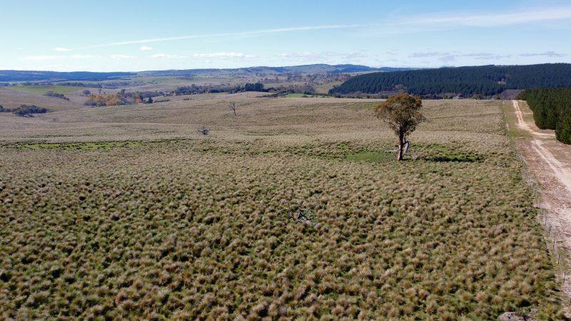 163 Craigie Road, Mila For Sale by Farmbuy.com - image 18