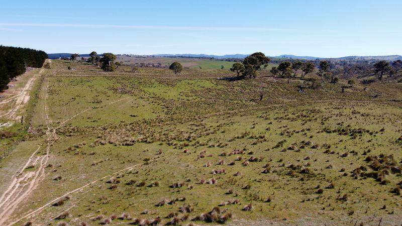 163 Craigie Road, Mila For Sale by Farmbuy.com - image 5