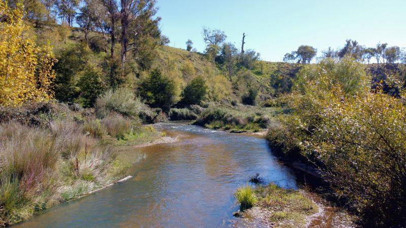 163 Craigie Road, Mila For Sale by Farmbuy.com - image 15