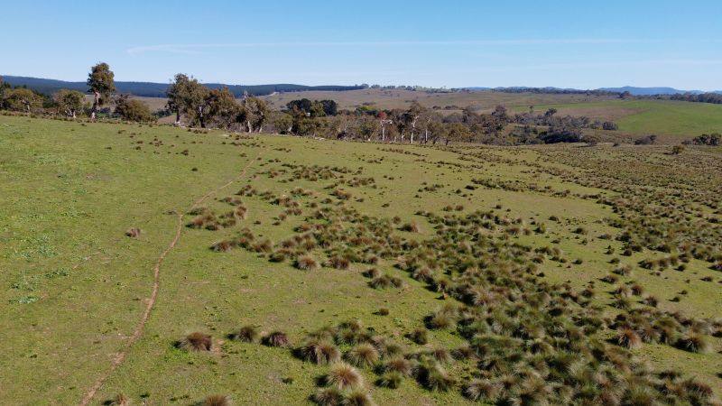 163 Craigie Road, Mila For Sale by Farmbuy.com - image 4