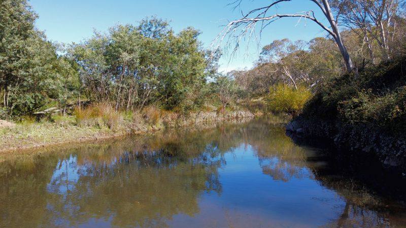 163 Craigie Road, Mila For Sale by Farmbuy.com - image 16