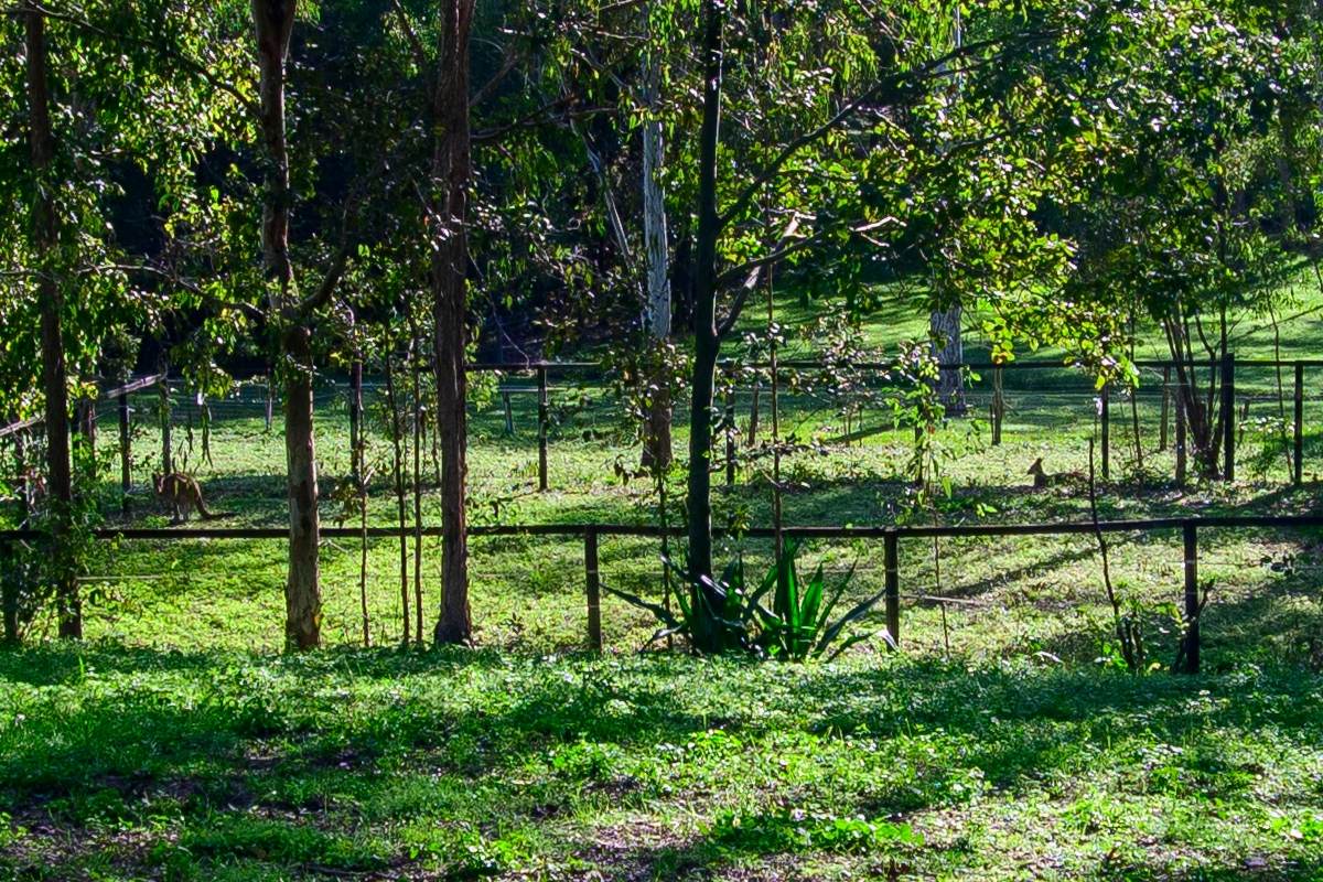 10 Harper Road, Bellmere For Sale by Farmbuy.com - image 21