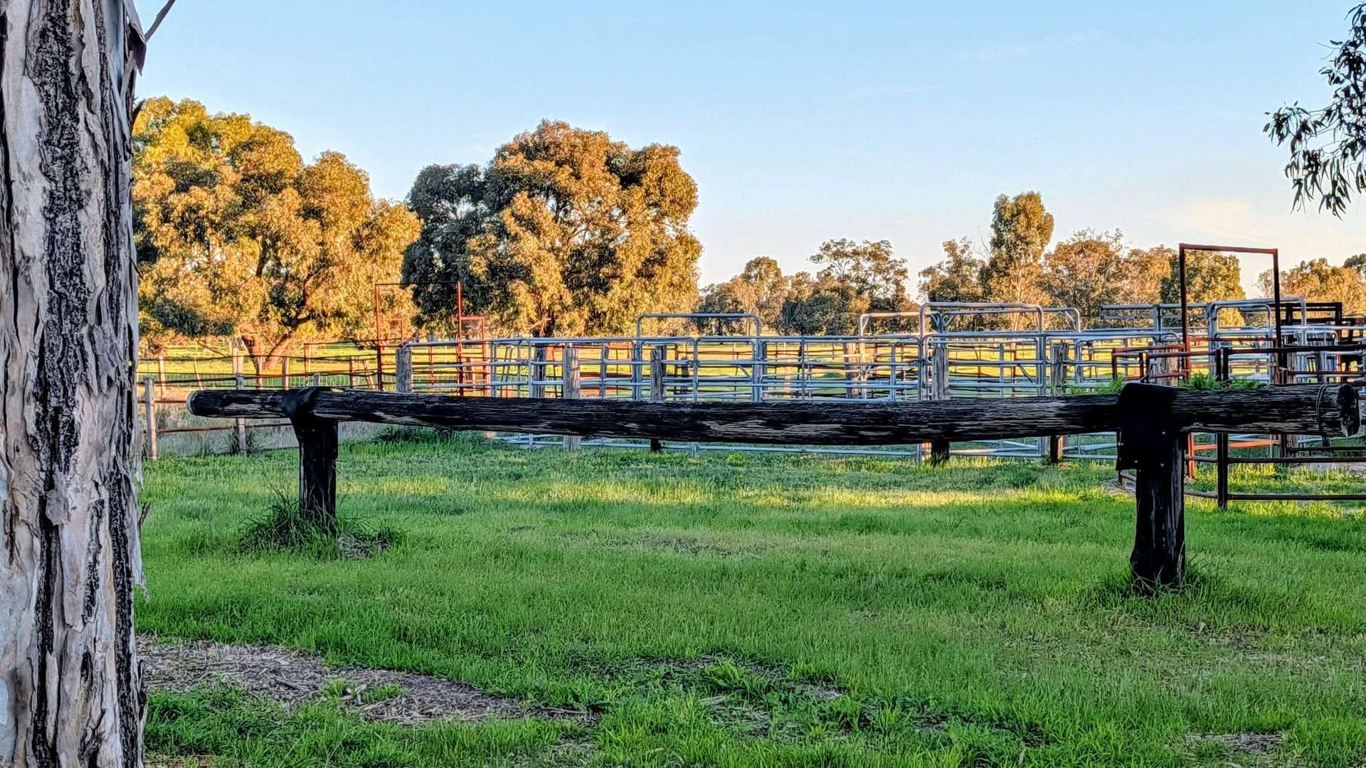 230 Duffy Road, Bambun For Sale by Farmbuy.com - image 30