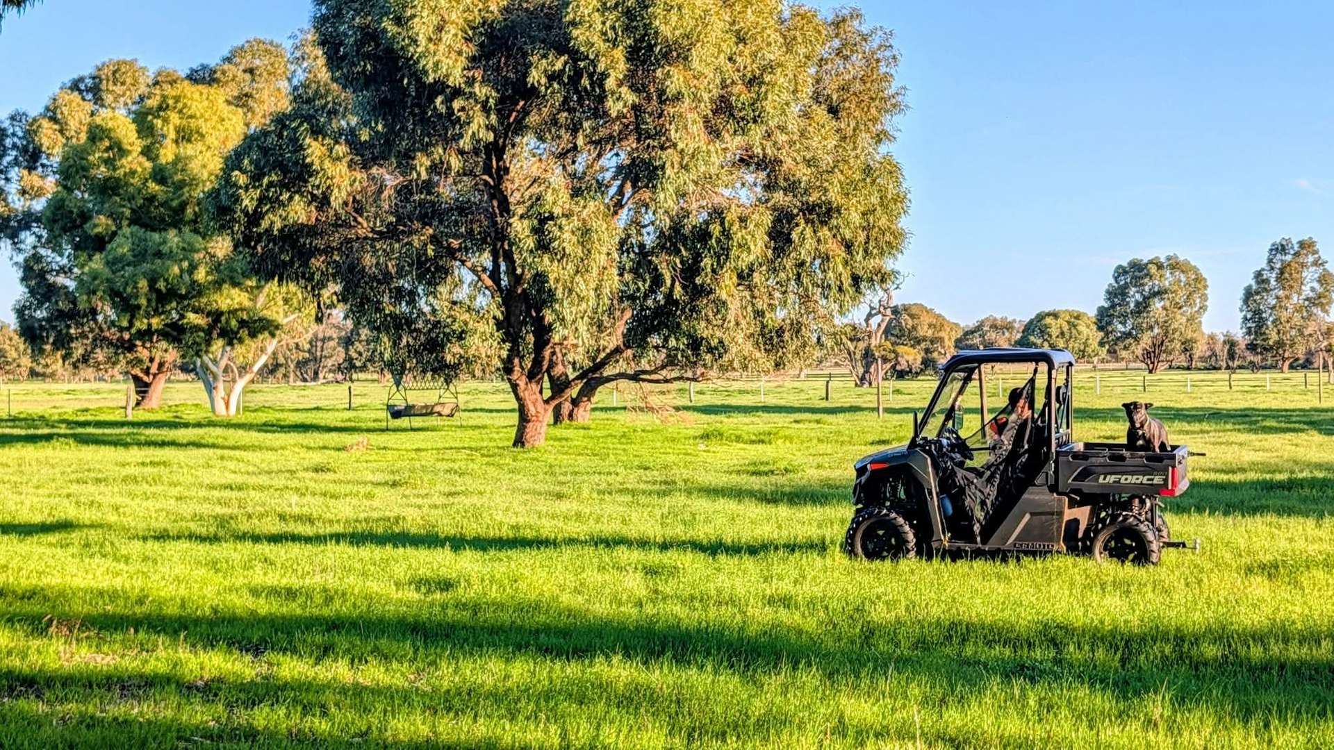 230 Duffy Road, Bambun For Sale by Farmbuy.com - image 3