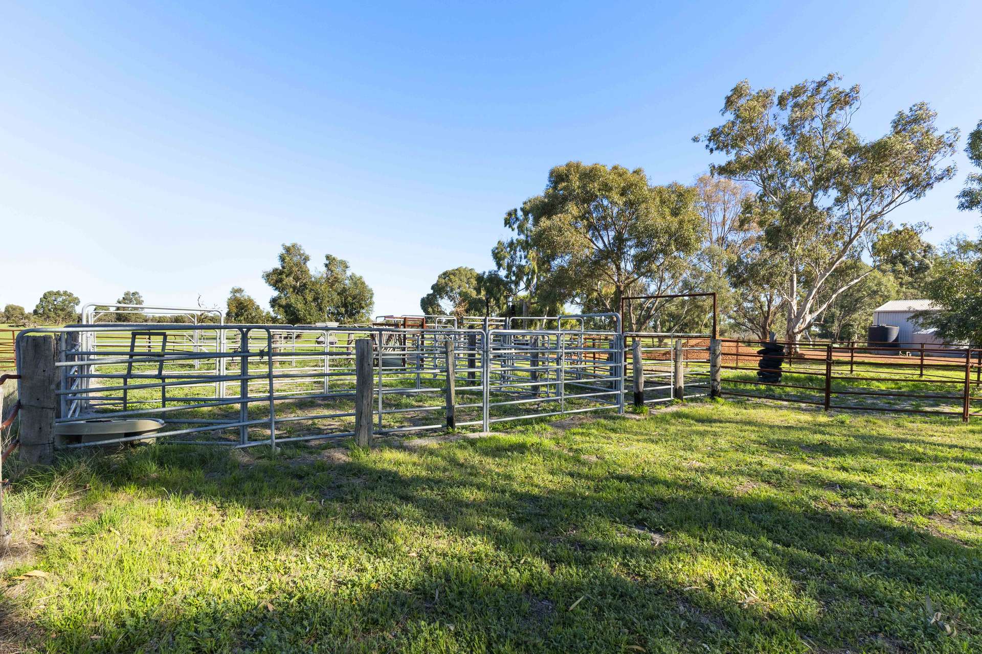 230 Duffy Road, Bambun For Sale by Farmbuy.com - image 3