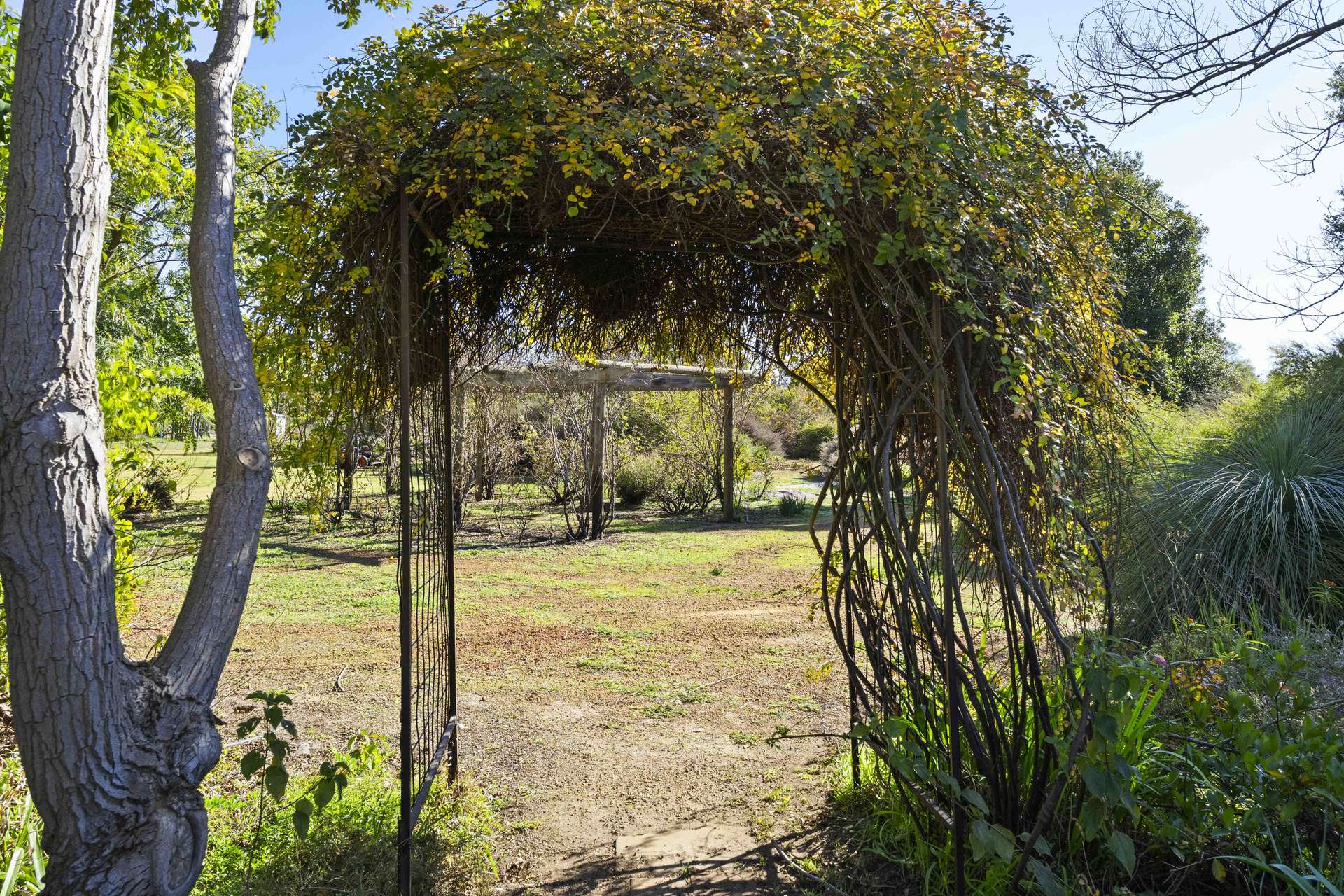 230 Duffy Road, Bambun For Sale by Farmbuy.com - image 29