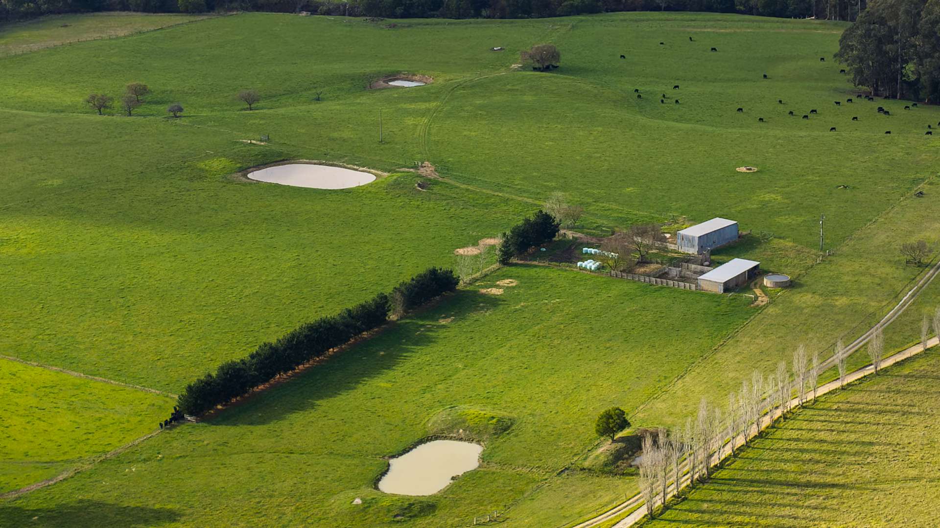 869 Carrajung Woodside Road, Woodside North For Sale by Farmbuy.com - image 2