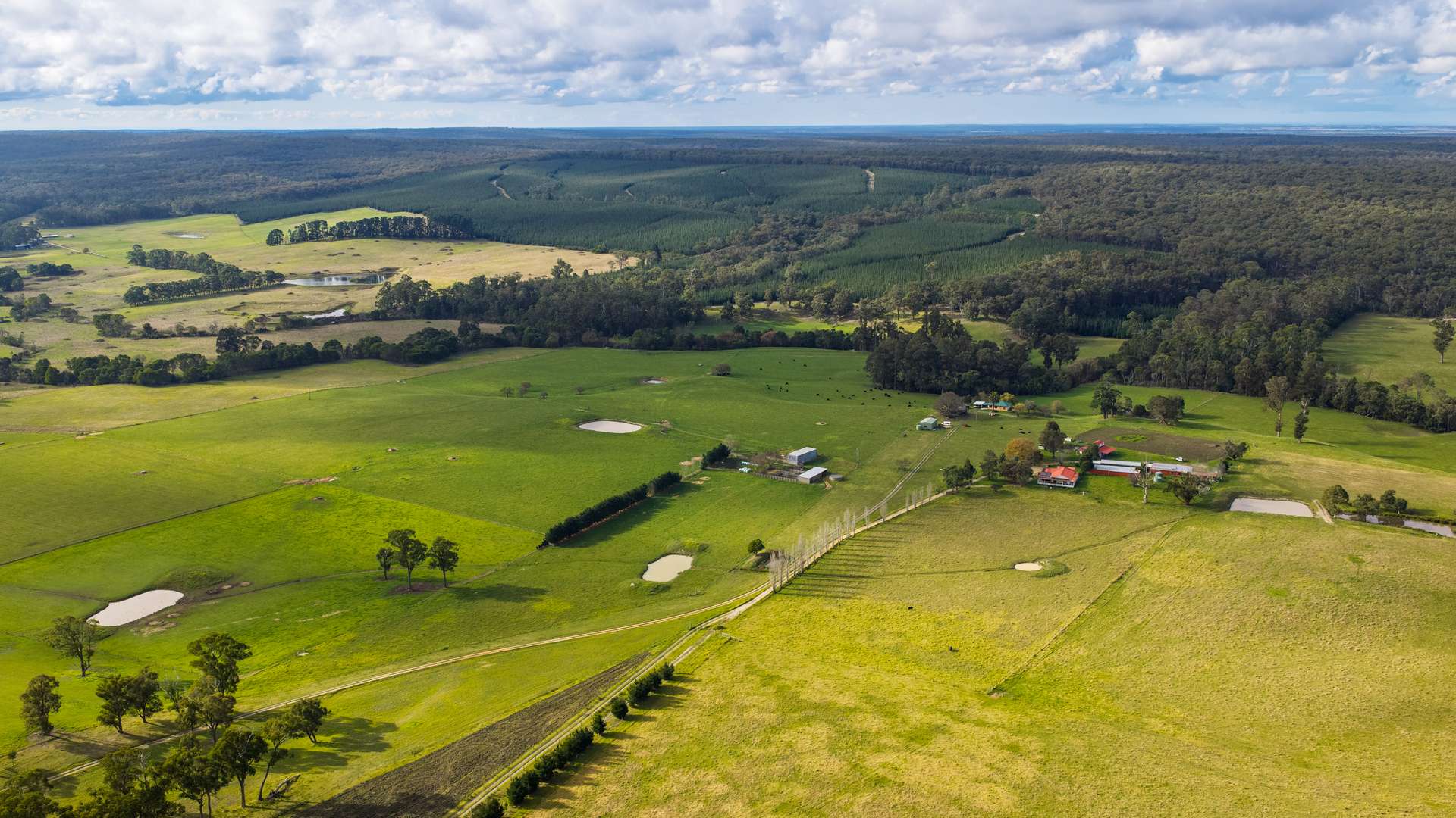 869 Carrajung Woodside Road, Woodside North For Sale by Farmbuy.com - image 6