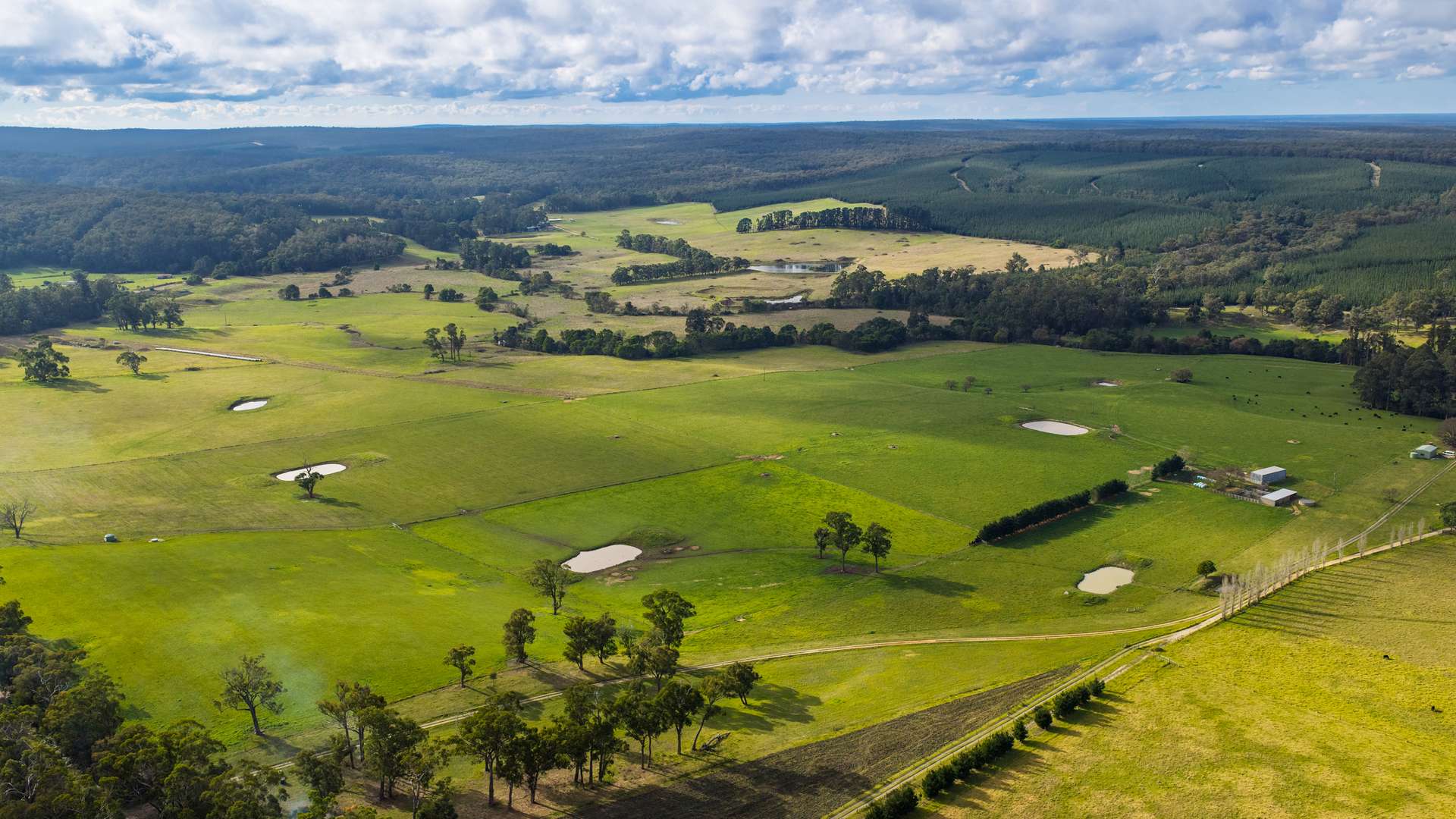869 Carrajung Woodside Road, Woodside North For Sale by Farmbuy.com - image 9