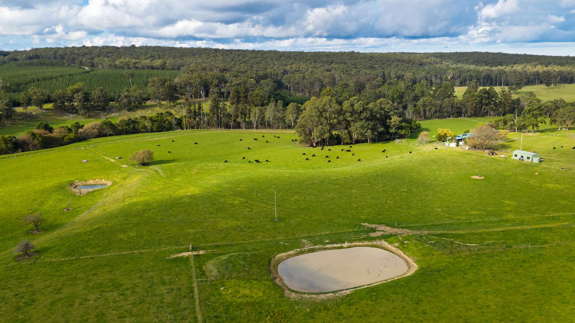 869 Carrajung Woodside Road, Woodside North For Sale by Farmbuy.com - image 10