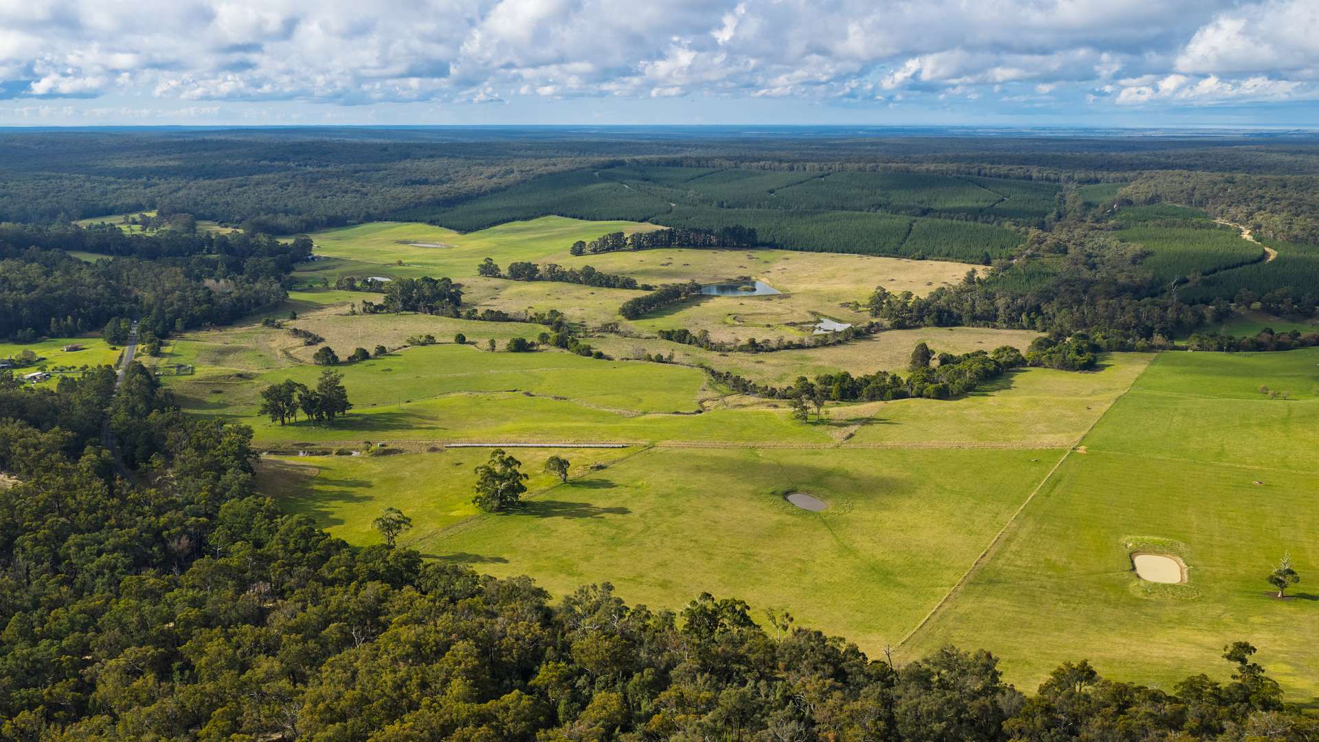 869 Carrajung Woodside Road, Woodside North For Sale by Farmbuy.com - image 7