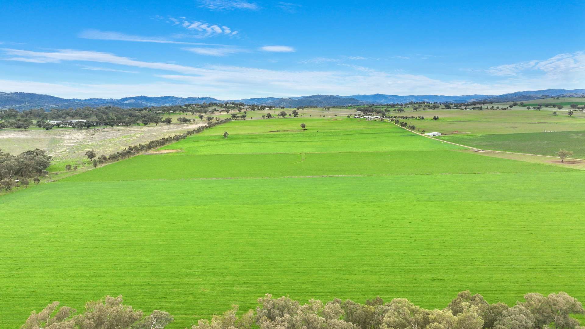 634 Loomberah Road, Loomberah For Sale by Farmbuy.com - image 8