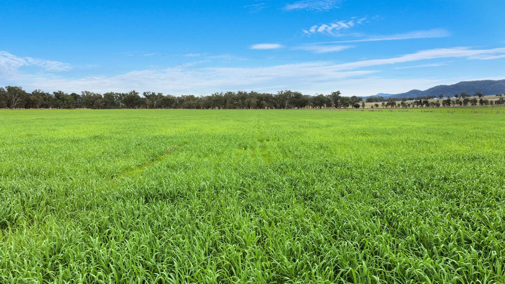 634 Loomberah Road, Loomberah For Sale by Farmbuy.com - image 9