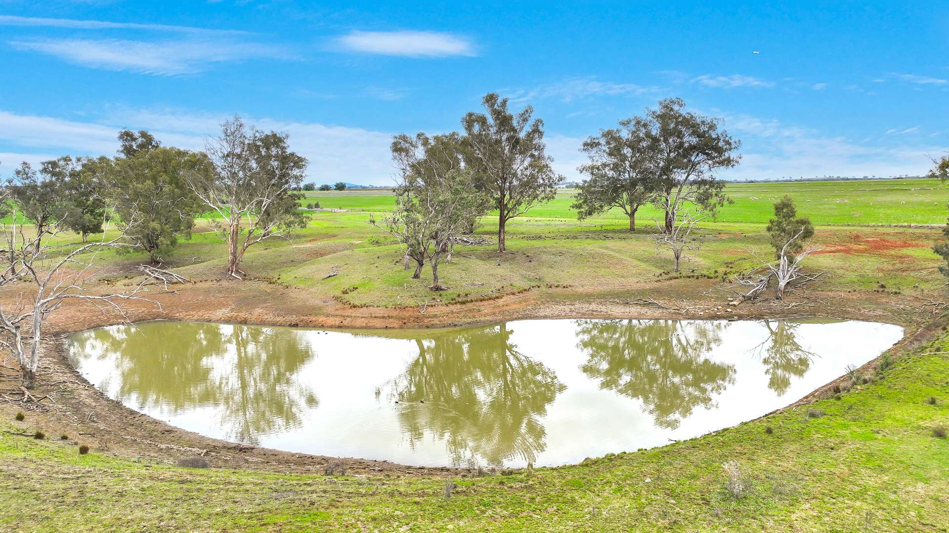 634 Loomberah Road, Loomberah For Sale by Farmbuy.com - image 11