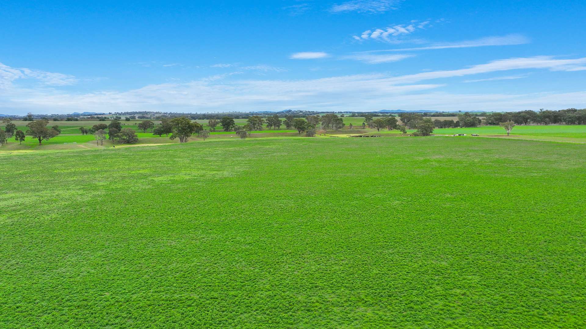 634 Loomberah Road, Loomberah For Sale by Farmbuy.com - image 7