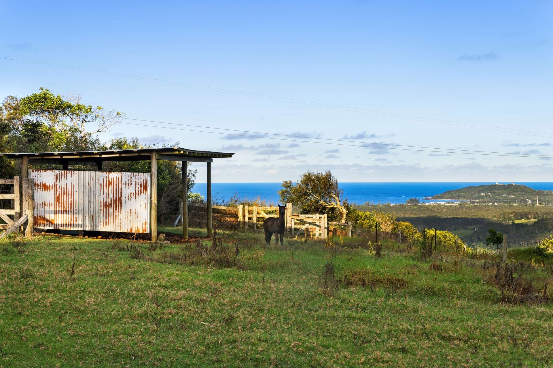 194 St Helena Road, McLeods Shoot For Sale by Farmbuy.com - image 20