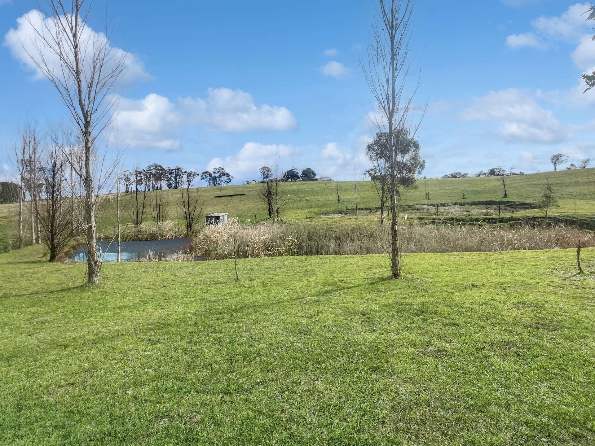 199 Nutshell Road, Tenterfield For Sale by Farmbuy.com - image 14