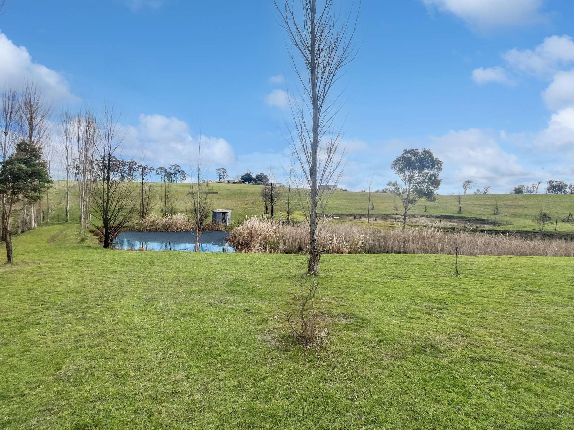 199 Nutshell Road, Tenterfield For Sale by Farmbuy.com - image 12