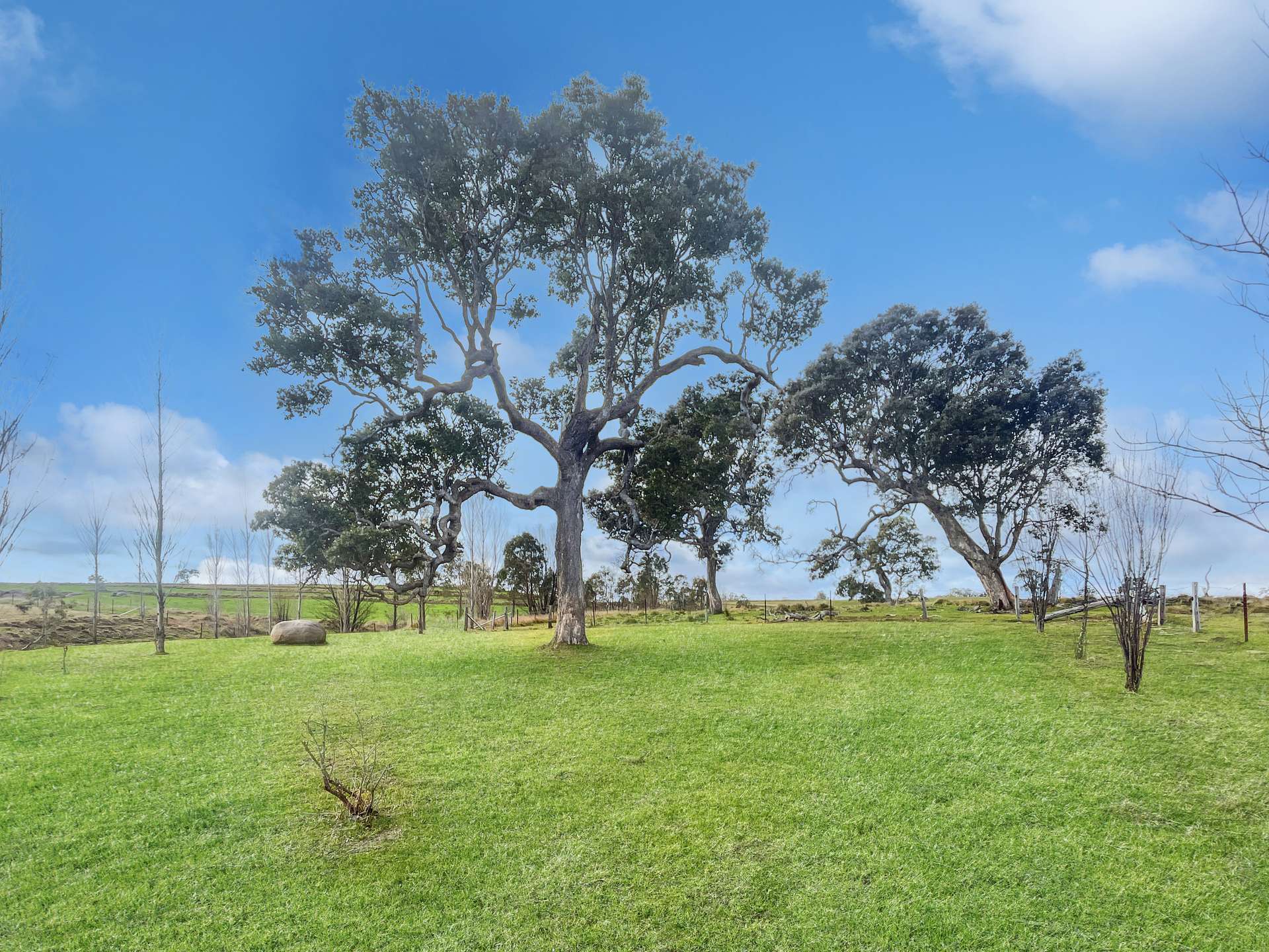 199 Nutshell Road, Tenterfield For Sale by Farmbuy.com - image 15