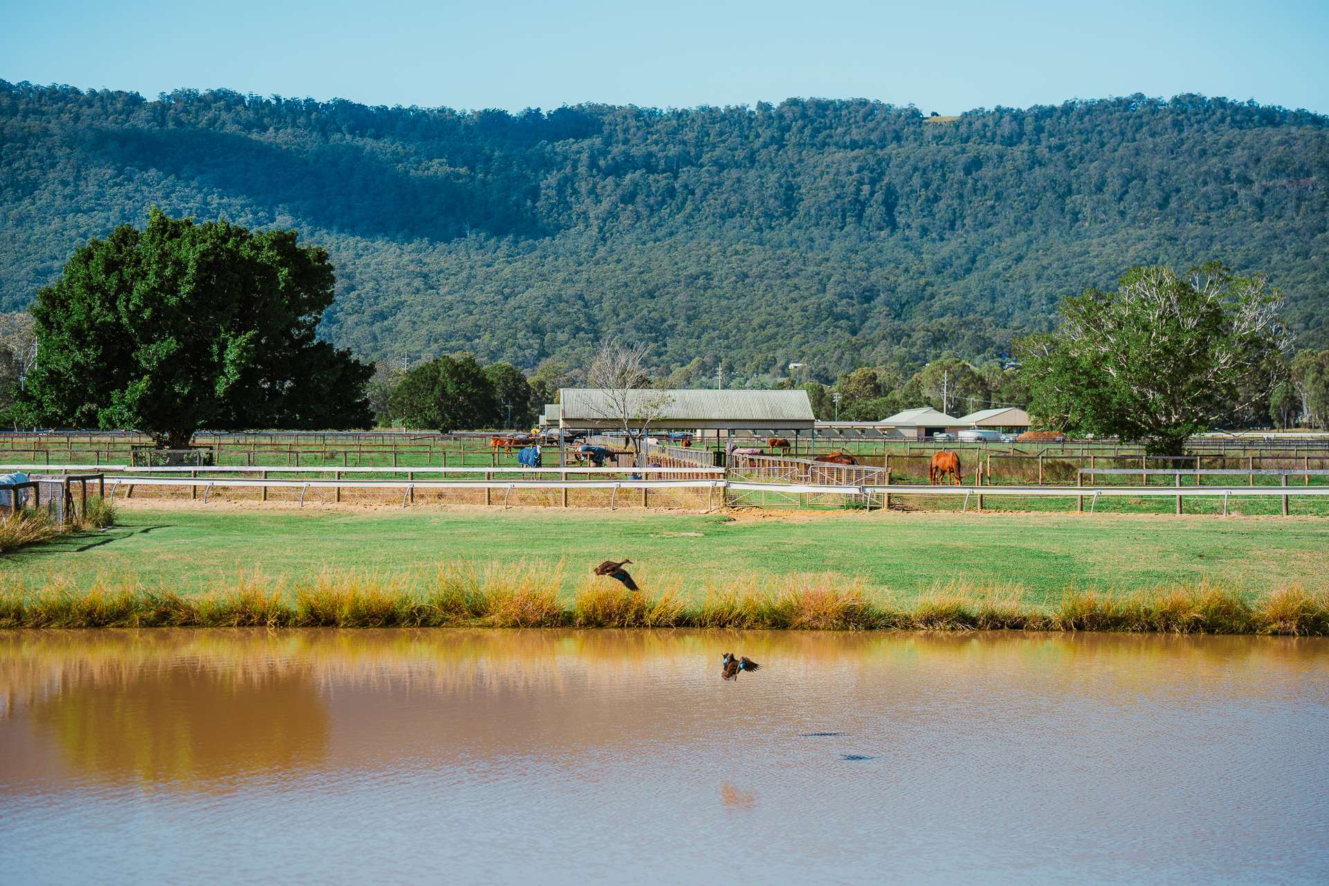 325 Mundoolun Connection Road, Boyland For Sale by Farmbuy.com - image 7
