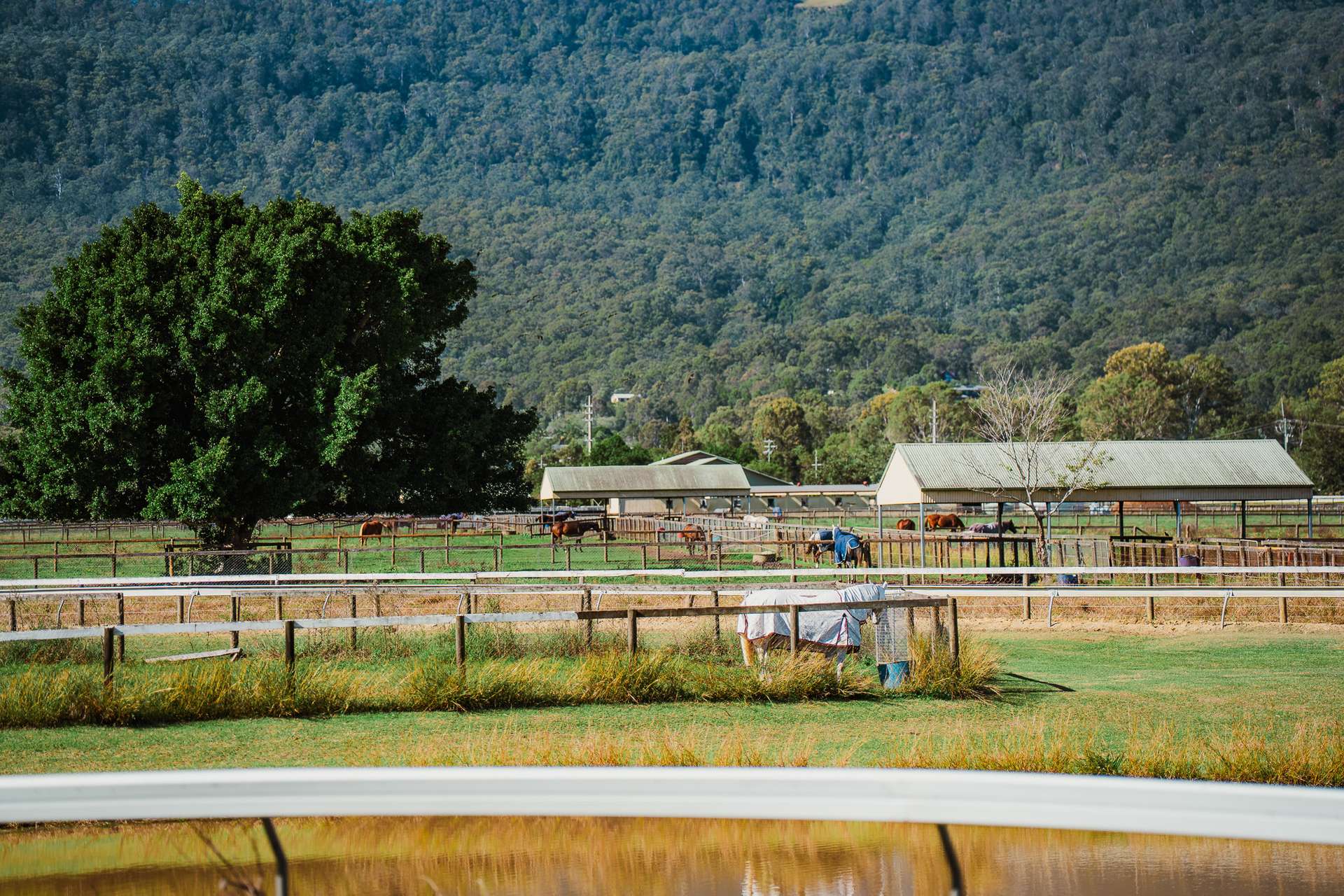 325 Mundoolun Connection Road, Boyland For Sale by Farmbuy.com - image 35