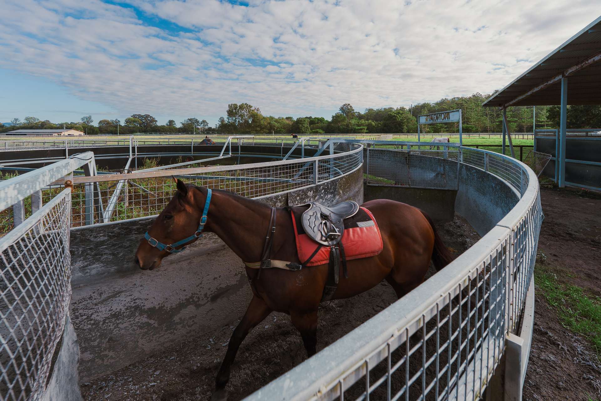 325 Mundoolun Connection Road, Boyland For Sale by Farmbuy.com - image 15