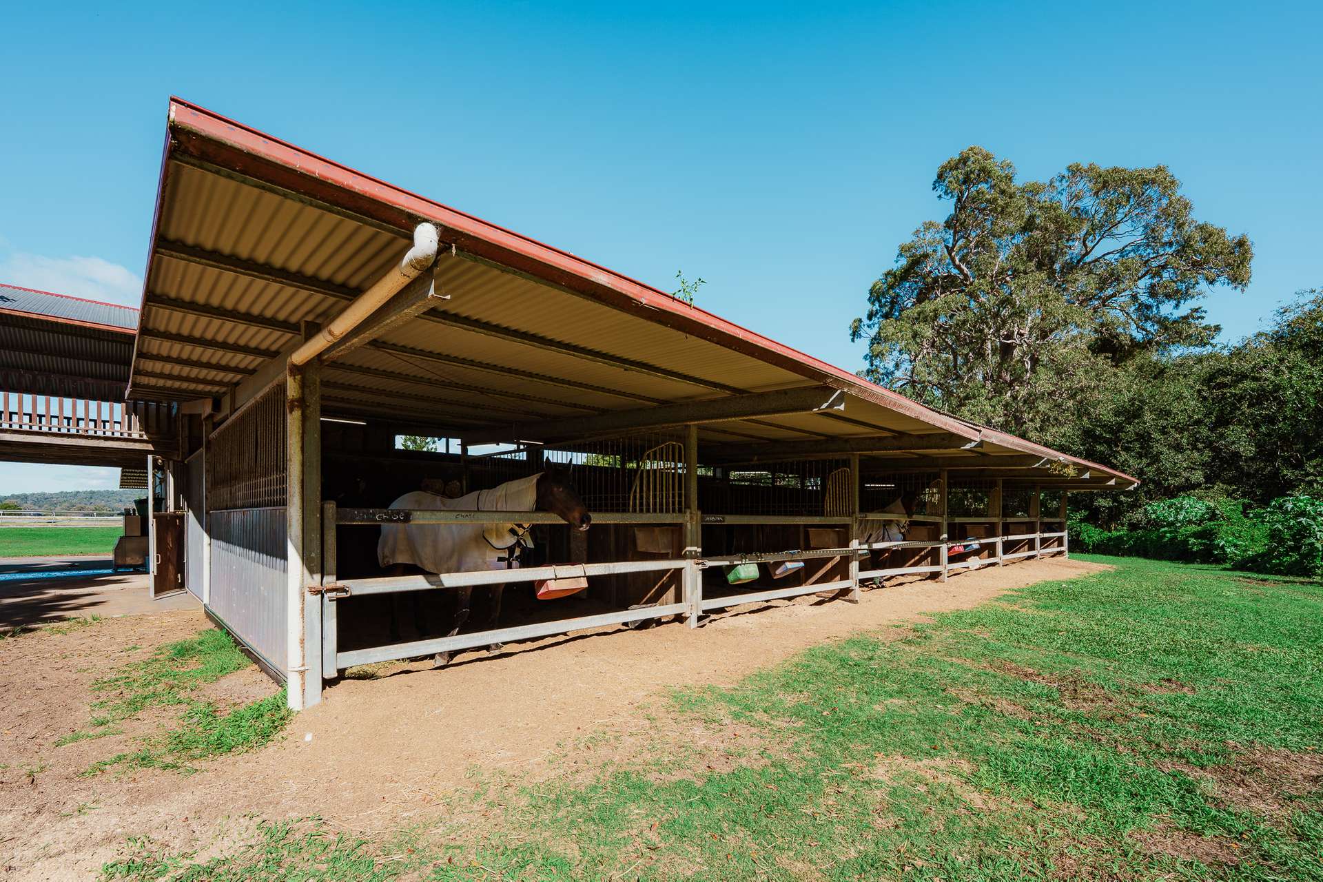 325 Mundoolun Connection Road, Boyland For Sale by Farmbuy.com - image 23