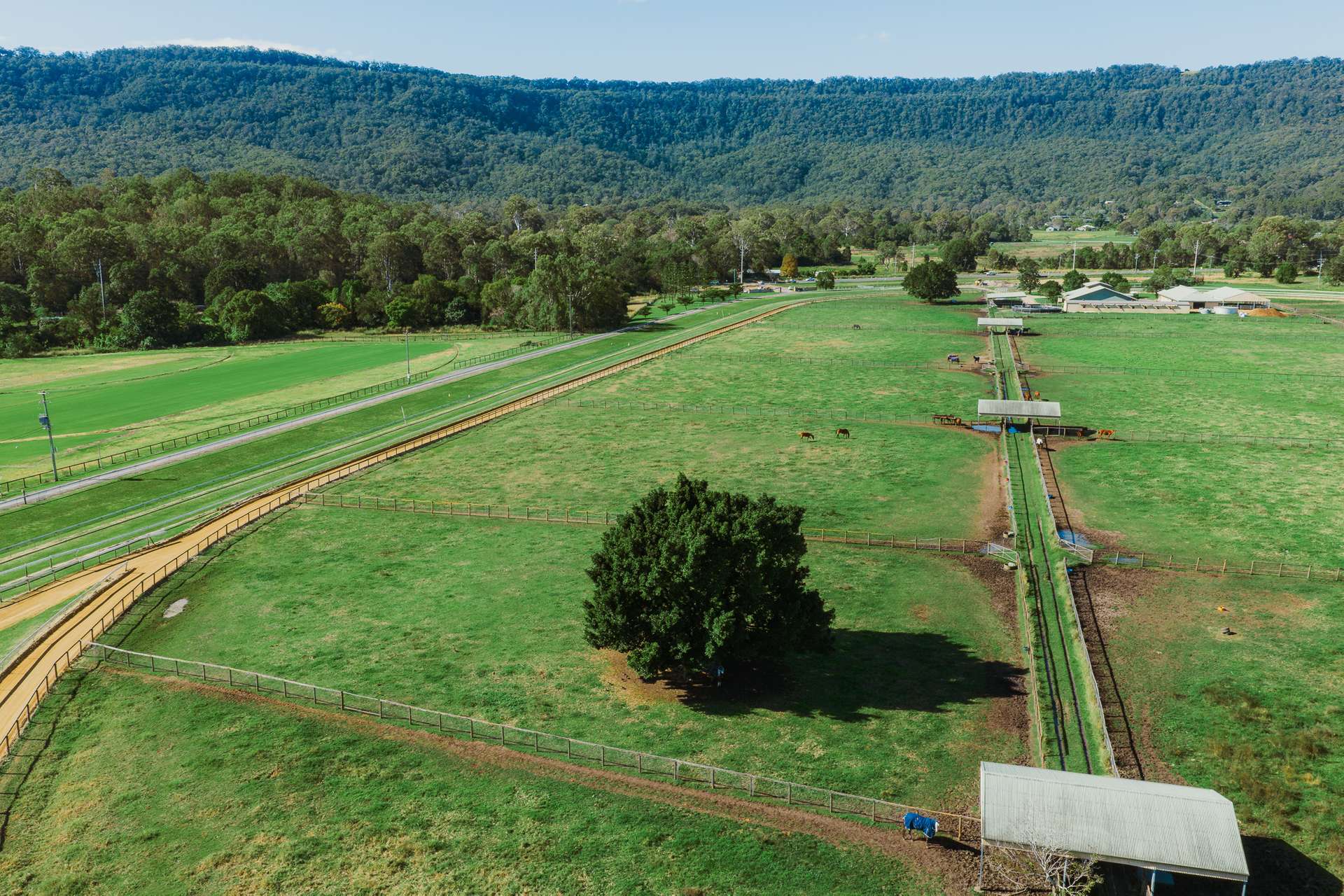 325 Mundoolun Connection Road, Boyland For Sale by Farmbuy.com - image 12