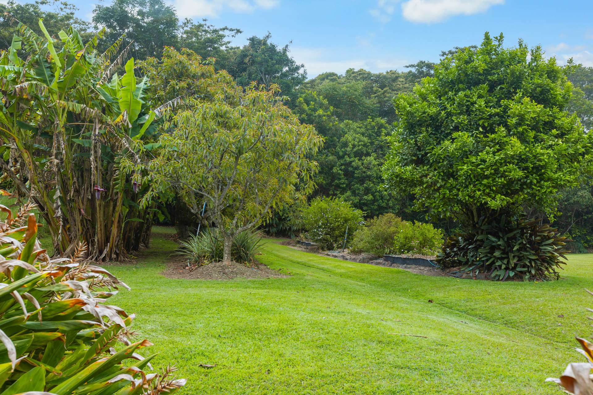 10524 Kennedy Highway, Upper Barron For Sale by Farmbuy.com - image 15
