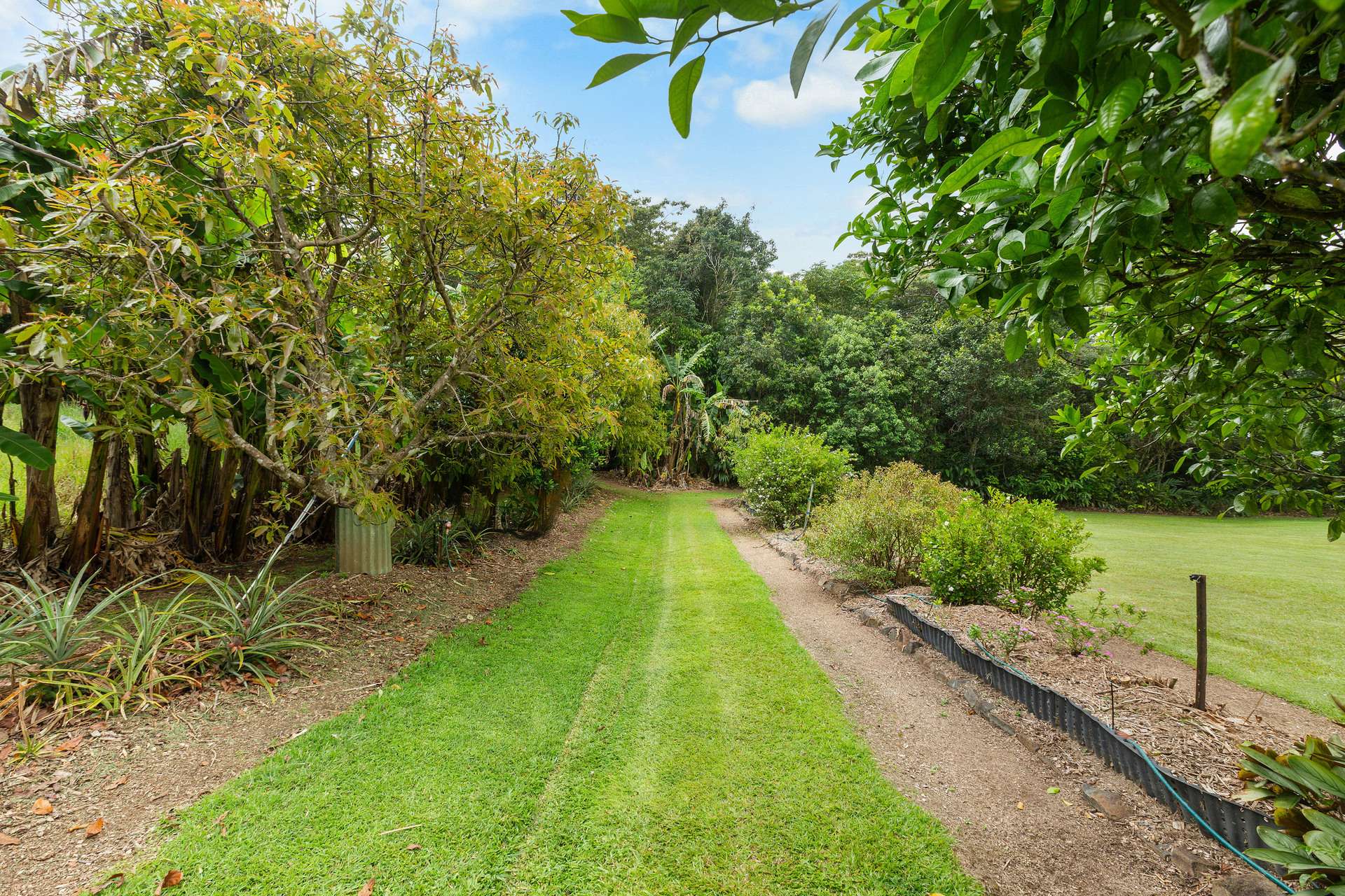 10524 Kennedy Highway, Upper Barron For Sale by Farmbuy.com - image 16