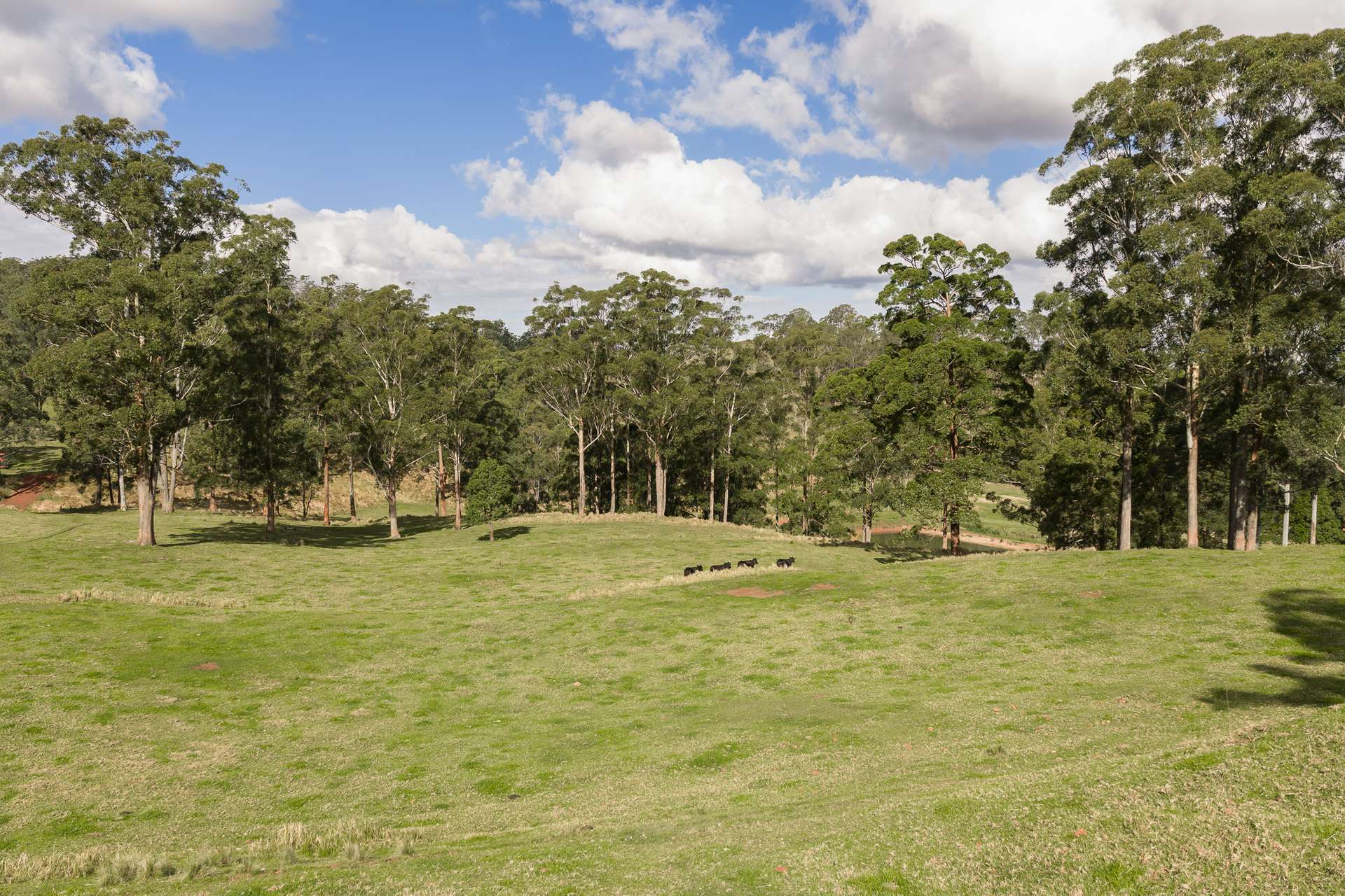 "Mount Albion" 203 Collingwood Road, Hampton For Sale by Farmbuy.com - image 14