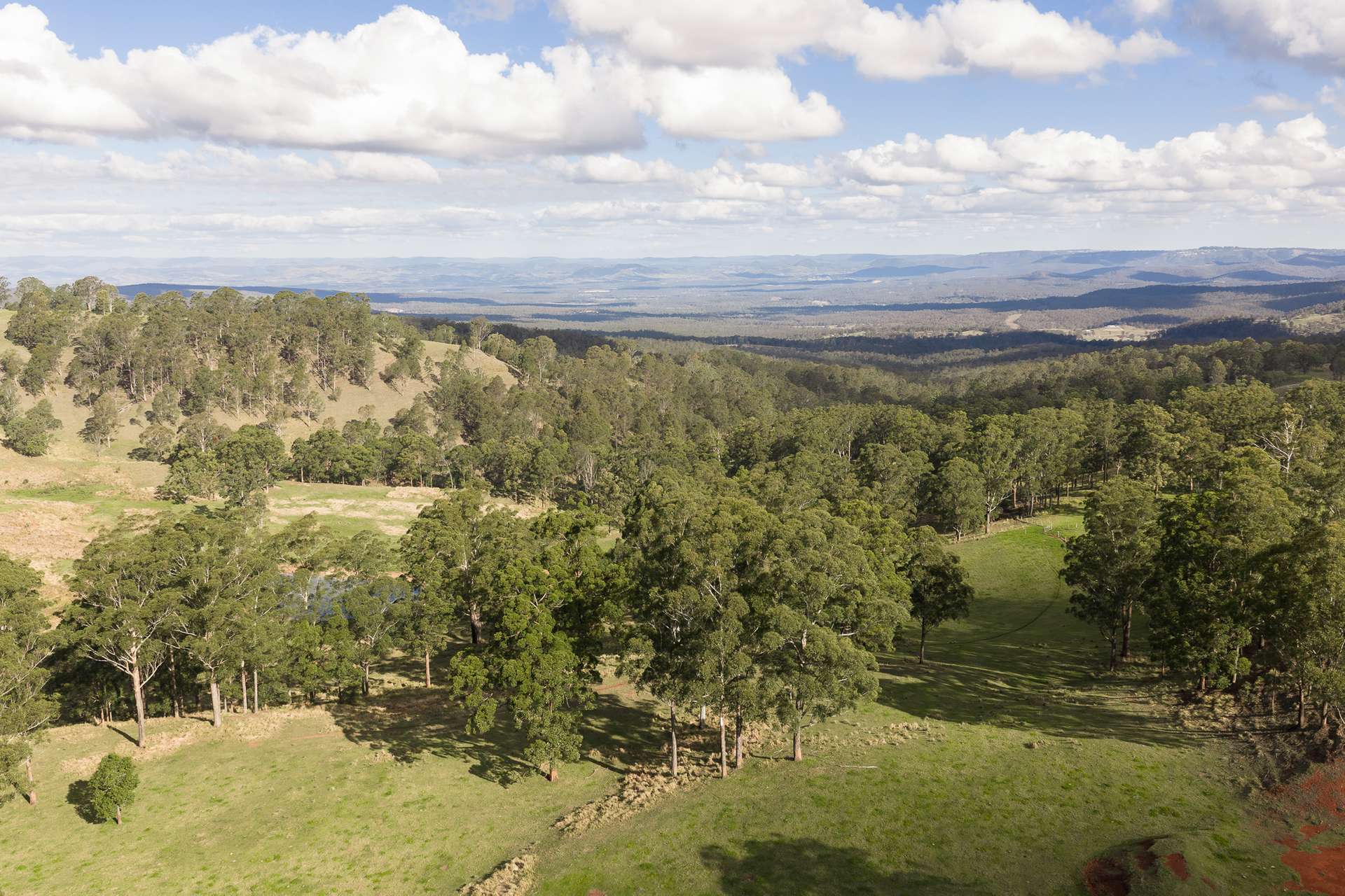 "Mount Albion" 203 Collingwood Road, Hampton For Sale by Farmbuy.com - image 22