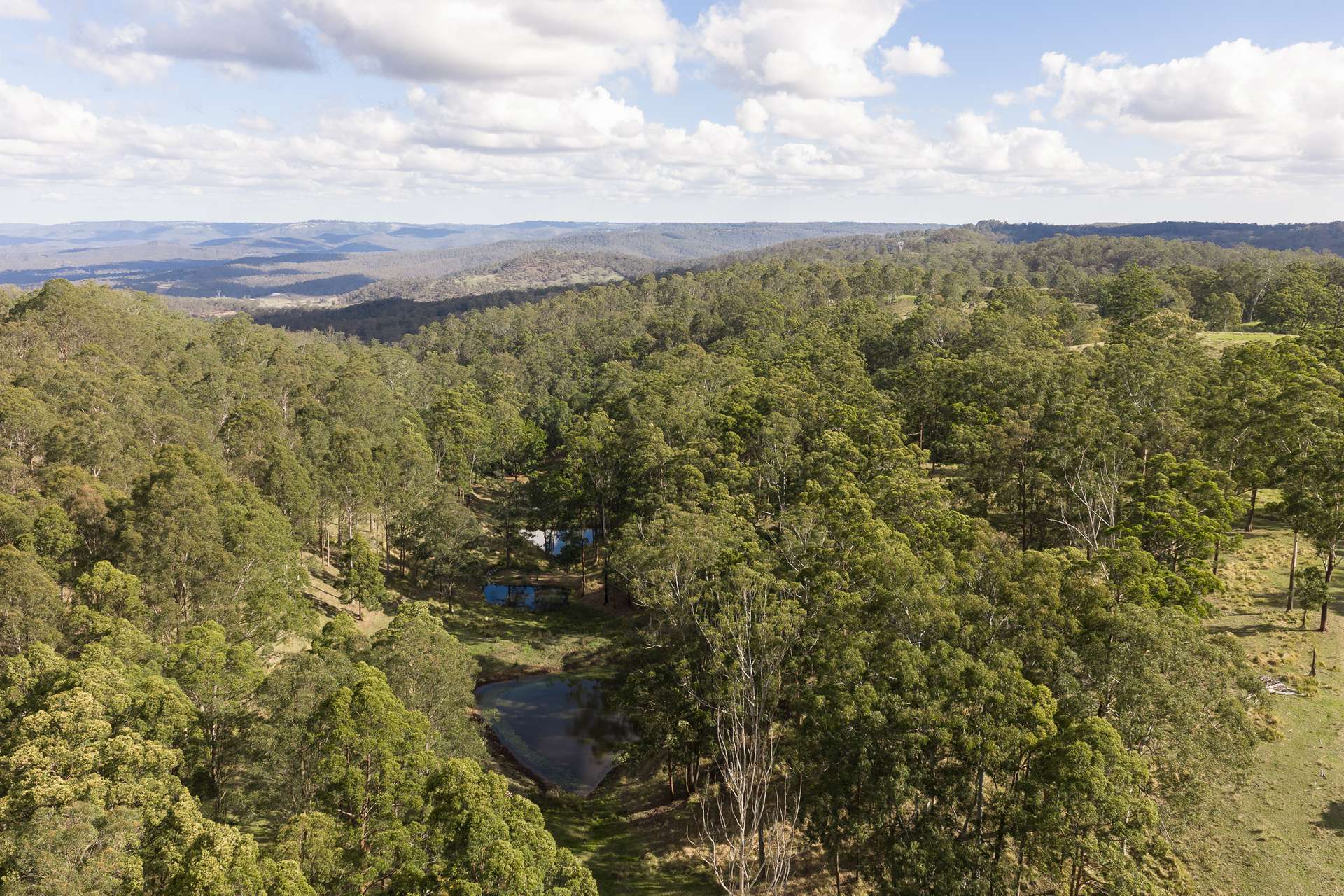 "Mount Albion" 203 Collingwood Road, Hampton For Sale by Farmbuy.com - image 25