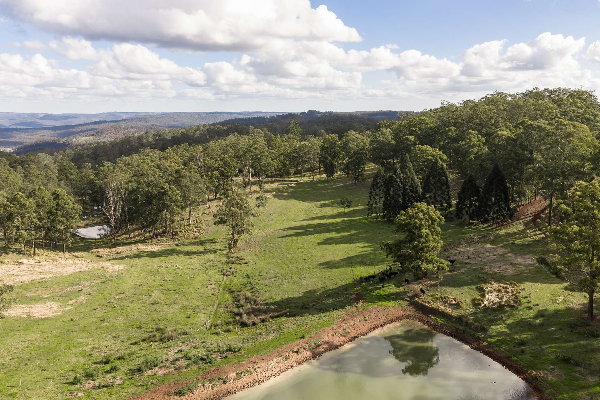 "Mount Albion" 203 Collingwood Road, Hampton For Sale by Farmbuy.com - image 10
