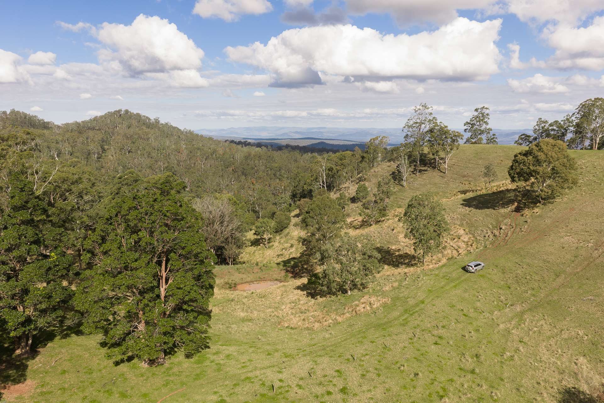 "Mount Albion" 203 Collingwood Road, Hampton For Sale by Farmbuy.com - image 17