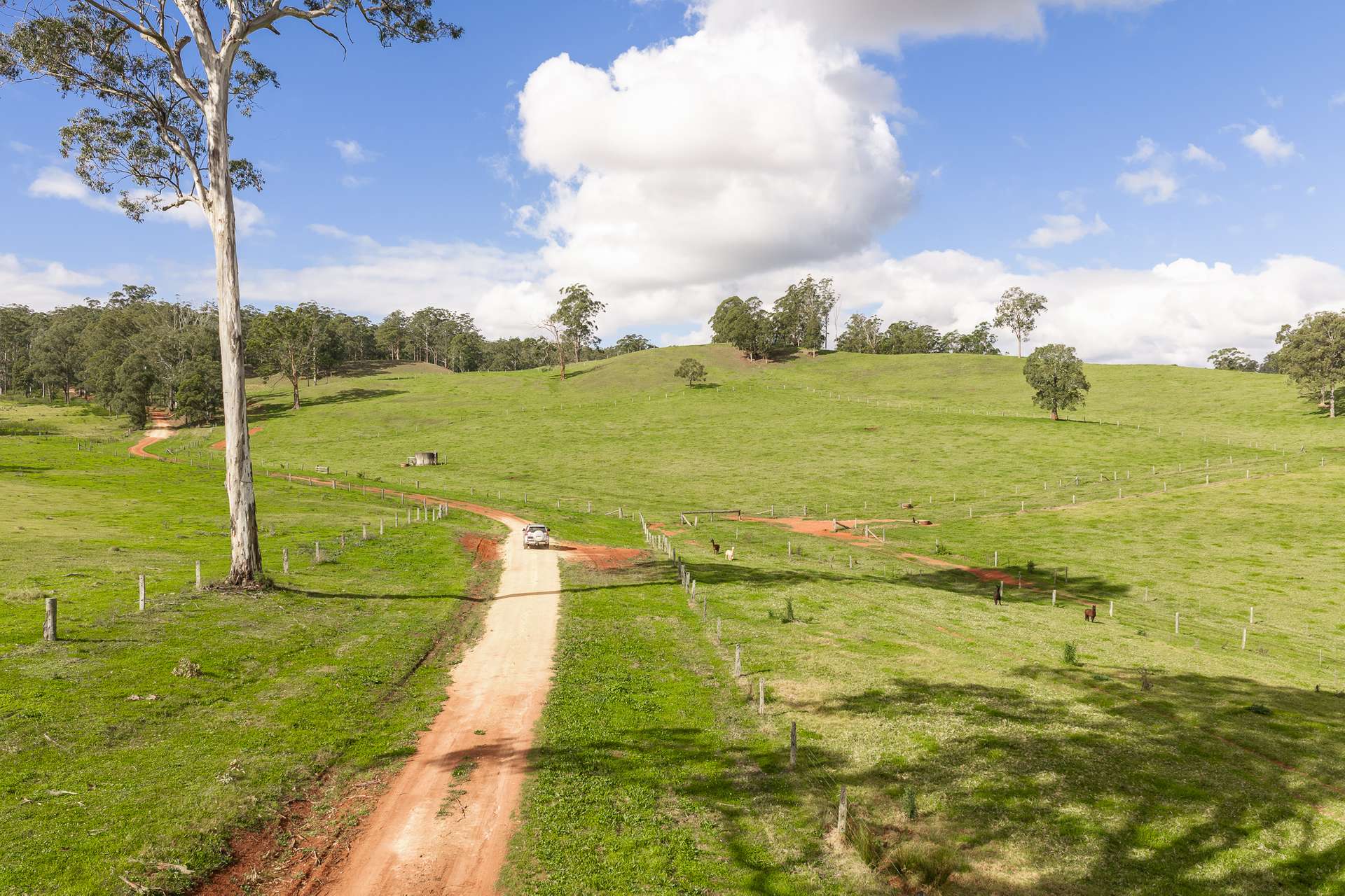 "Mount Albion" 203 Collingwood Road, Hampton For Sale by Farmbuy.com - image 3