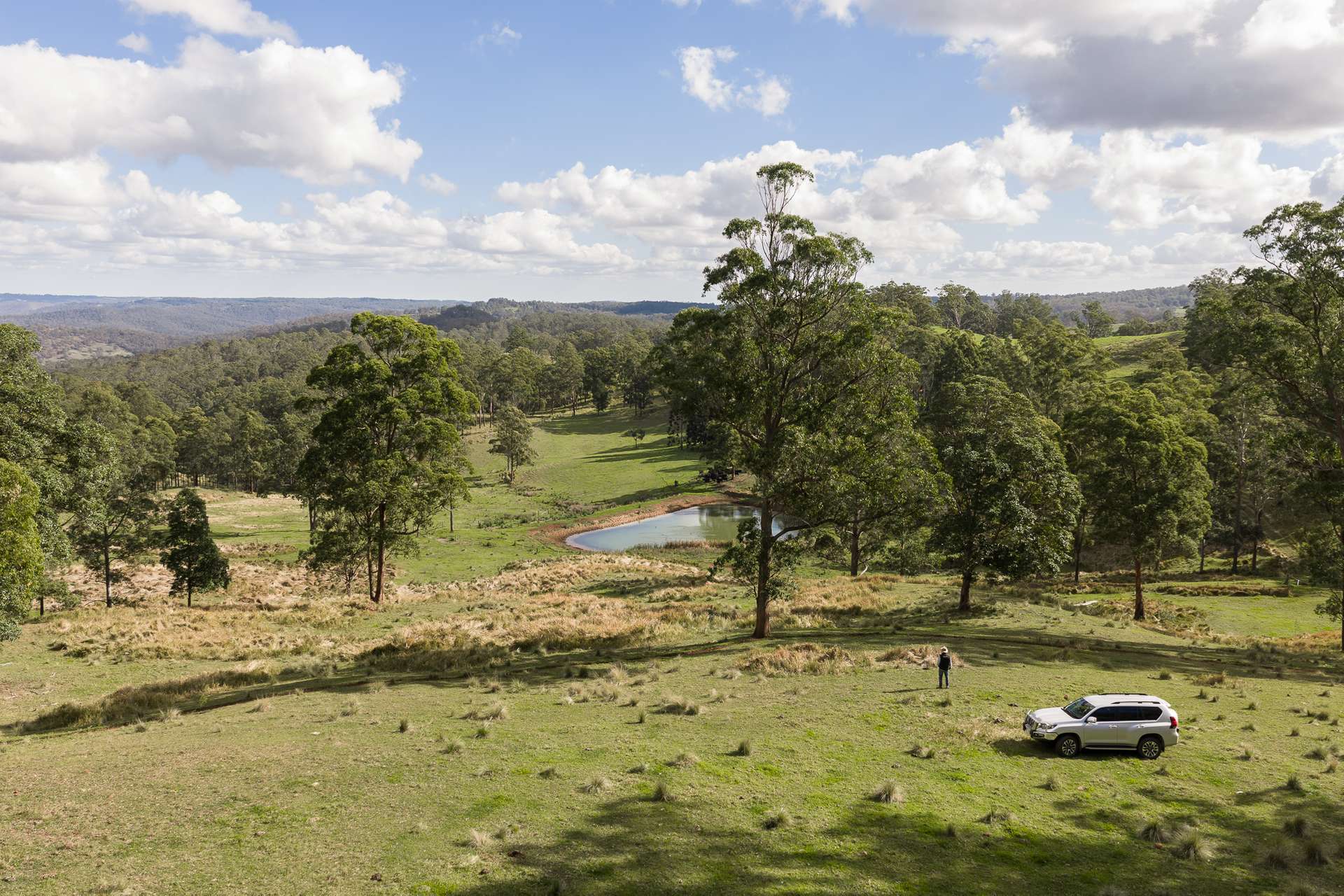 "Mount Albion" 203 Collingwood Road, Hampton For Sale by Farmbuy.com - image 6