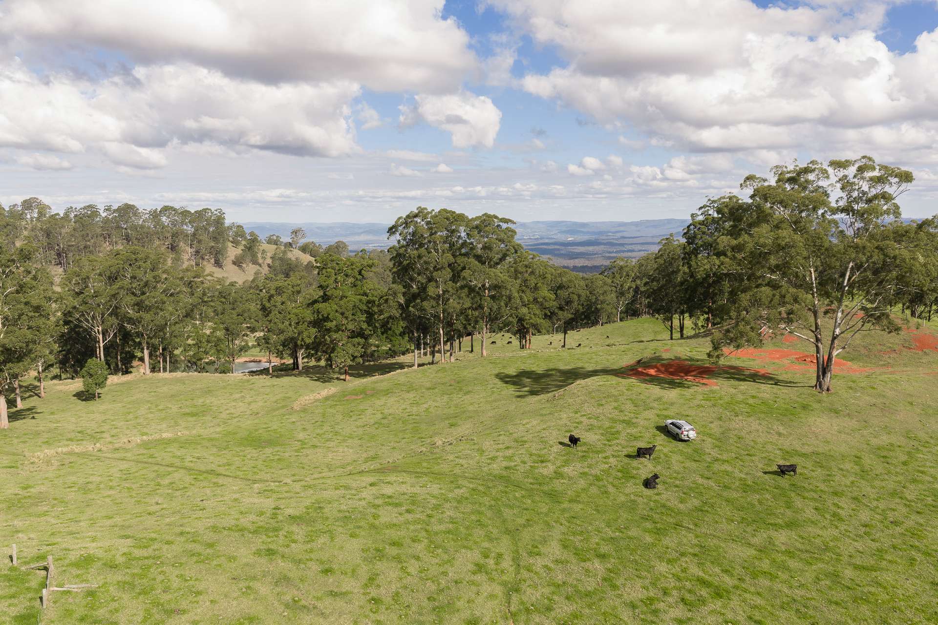 "Mount Albion" 203 Collingwood Road, Hampton For Sale by Farmbuy.com - image 12