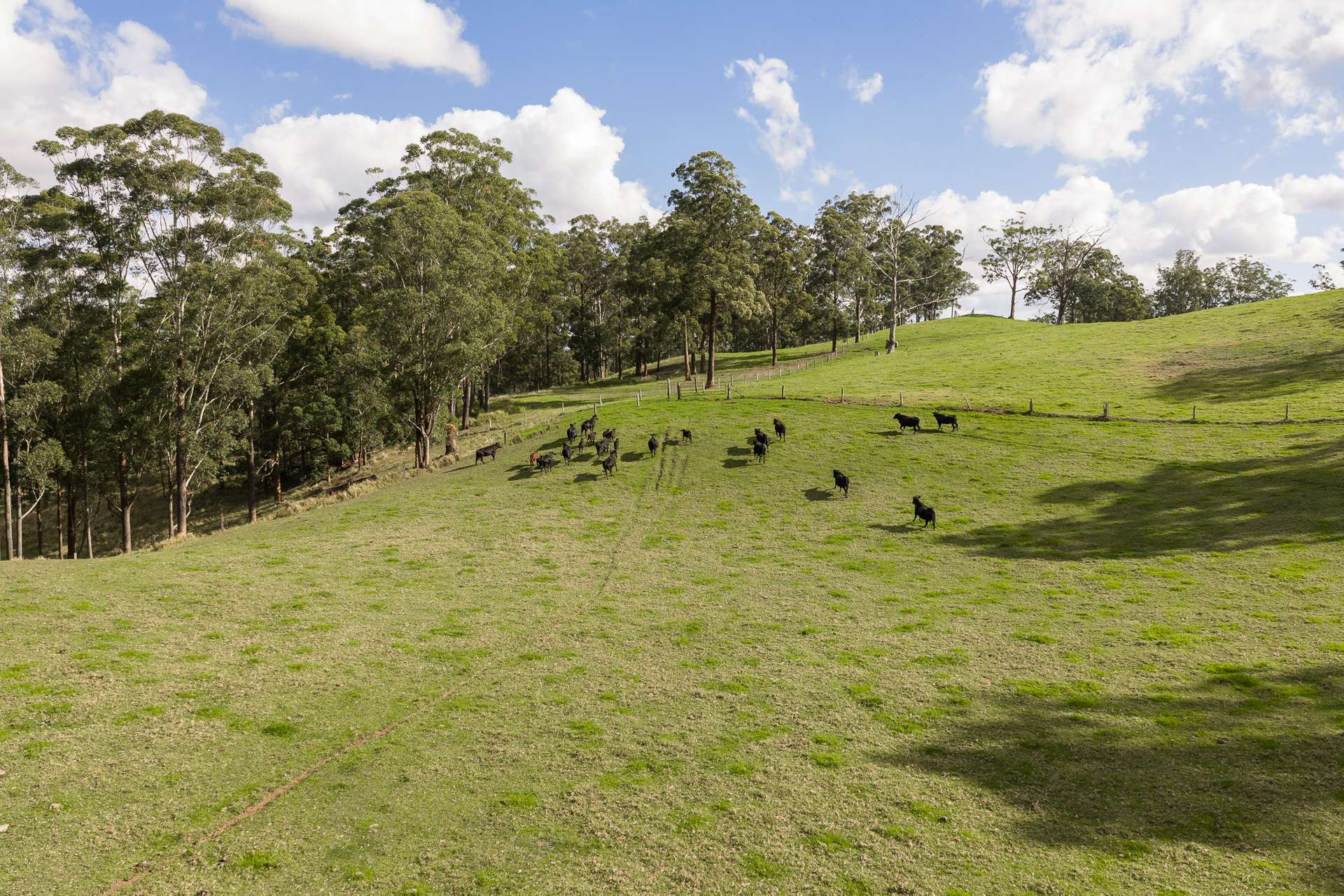 "Mount Albion" 203 Collingwood Road, Hampton For Sale by Farmbuy.com - image 15