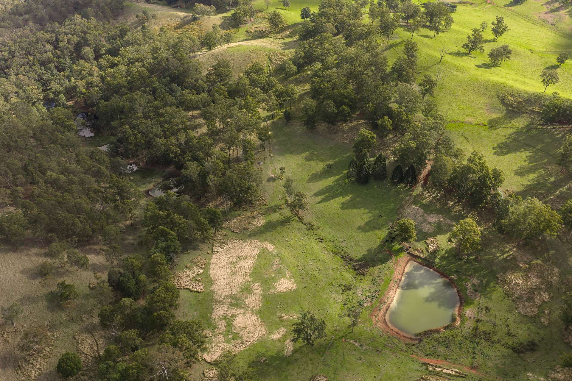 "Mount Albion" 203 Collingwood Road, Hampton For Sale by Farmbuy.com - image 4
