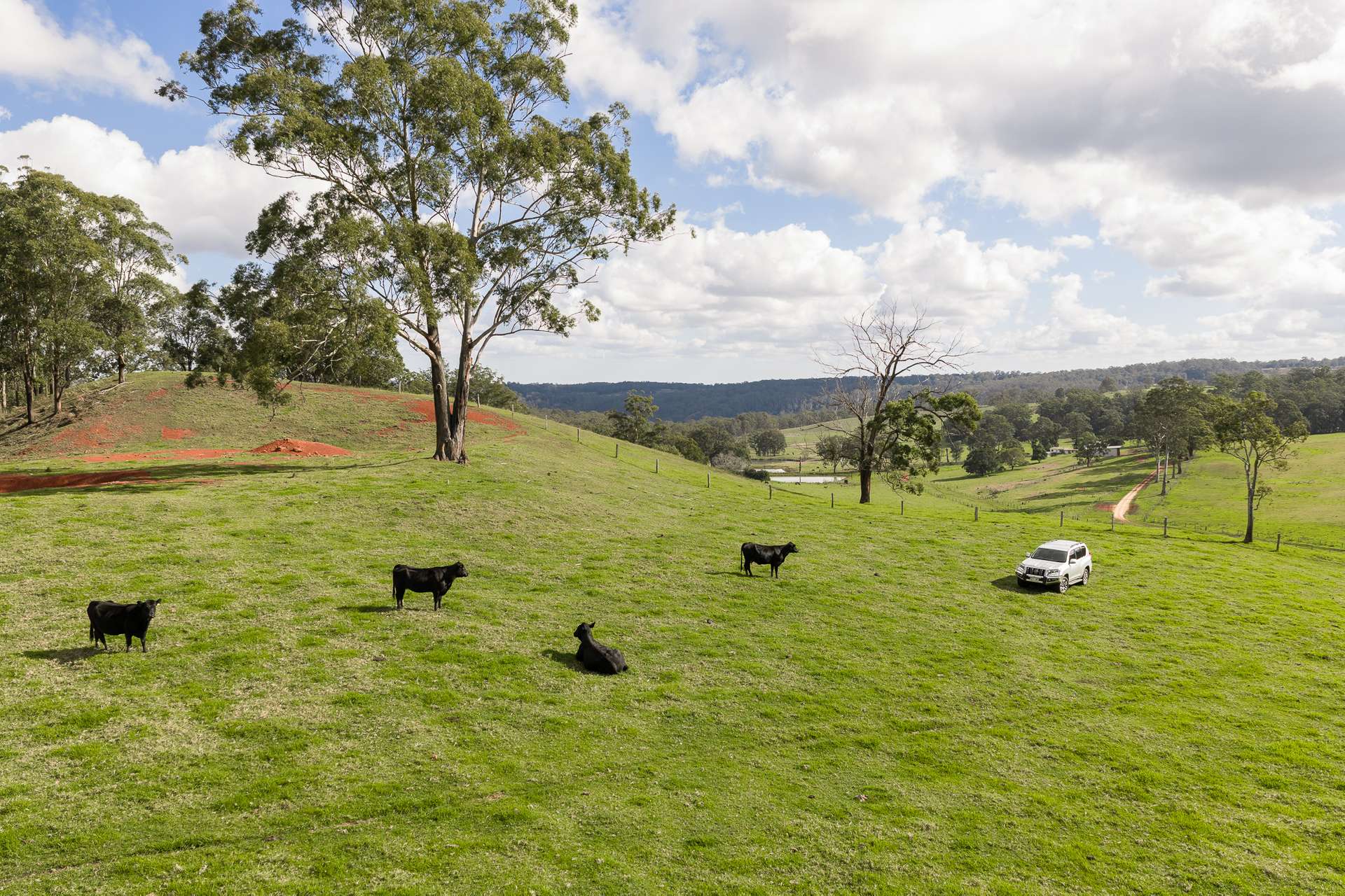 "Mount Albion" 203 Collingwood Road, Hampton For Sale by Farmbuy.com - image 9